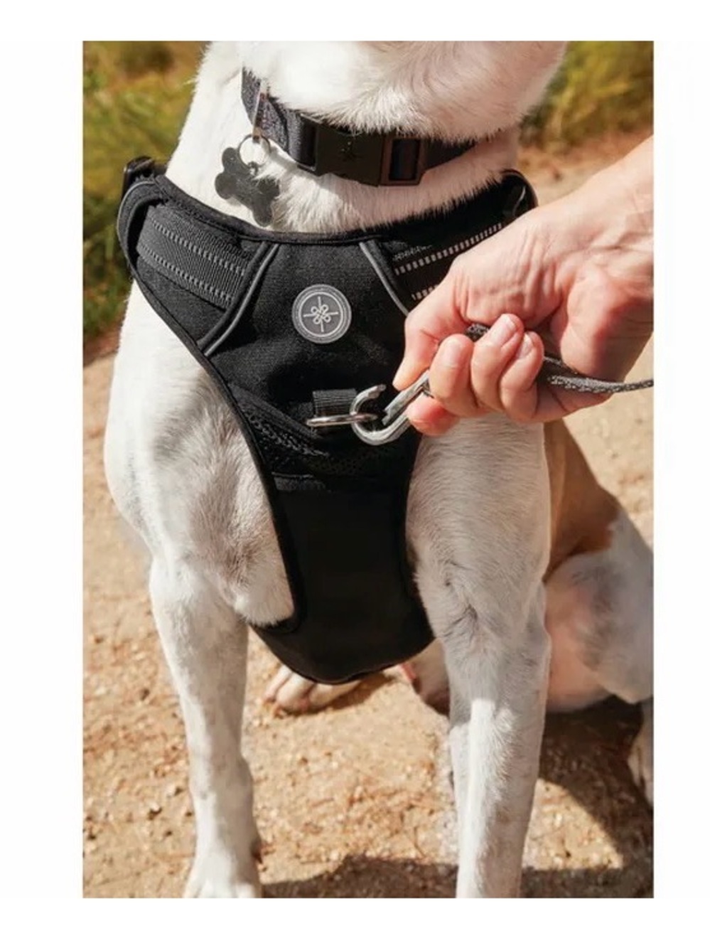 NWT Every Yay Black Embrace the Pace Front Walking Dog Harness - Size XL/XXL